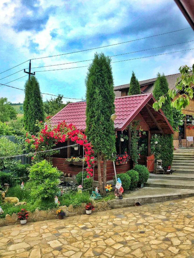 Casa Boico Hotel Gura Humorului Buitenkant foto