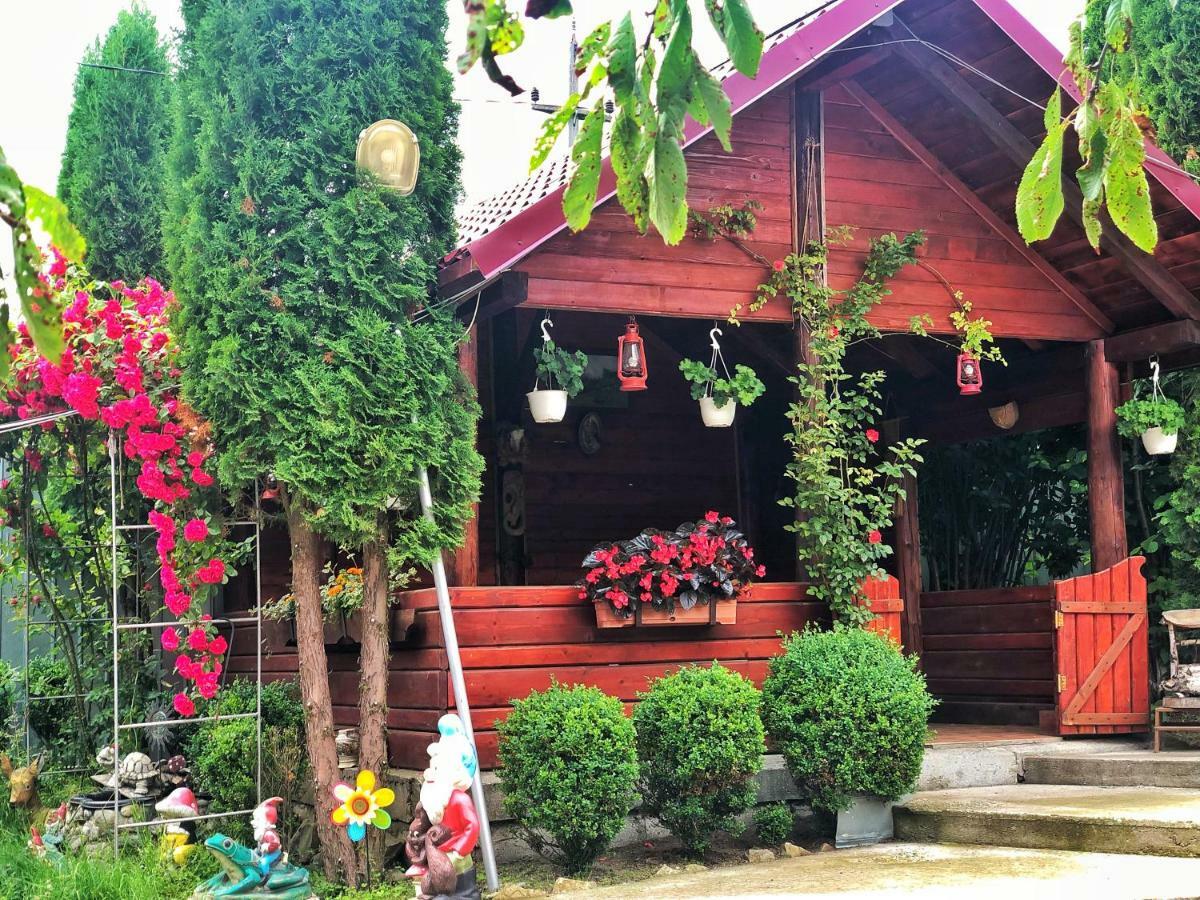 Casa Boico Hotel Gura Humorului Buitenkant foto